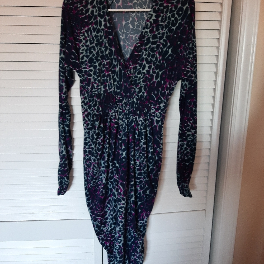 BCBGMaxAzaria Long Sleeved Cheetah Slinky Dress